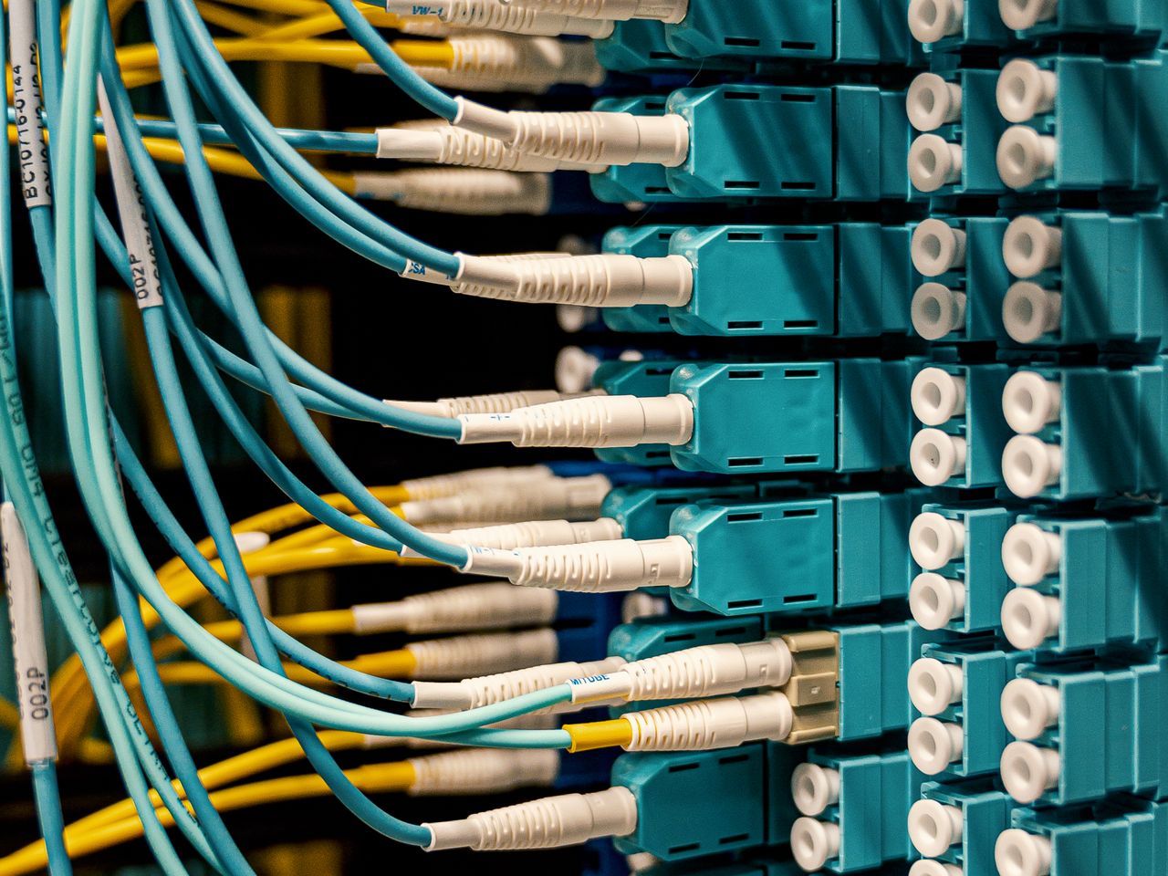 Fiber assurance